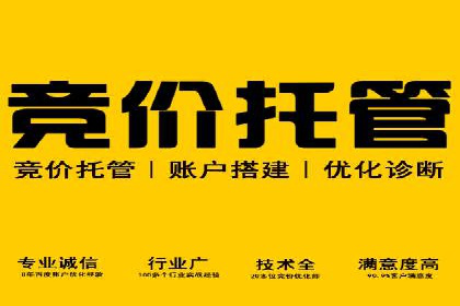 百度竞价广告的投放策略及某行业案例剖析